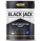 907 Solar Reflective Paint