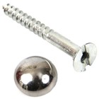 Mirror Screws