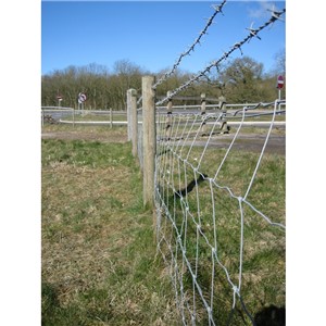 MEDIUM STOCKFENCE 100m GALV C8/80/15