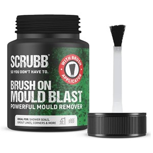 SCRUBB BRUSH ON MOULD BLAST GEL 250ml