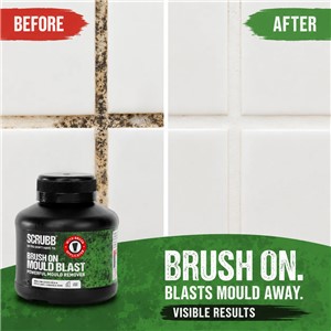 SCRUBB BRUSH ON MOULD BLAST GEL 250ml