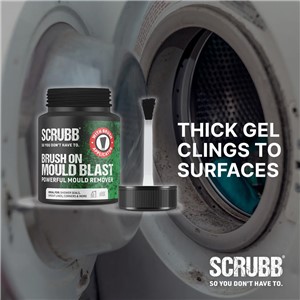 SCRUBB BRUSH ON MOULD BLAST GEL 250ml