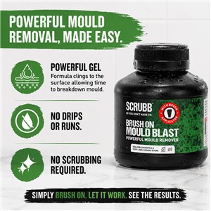 SCRUBB BRUSH ON MOULD BLAST GEL 250ml