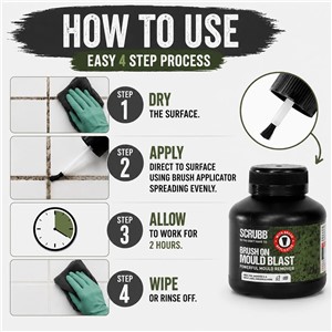 SCRUBB BRUSH ON MOULD BLAST GEL 250ml