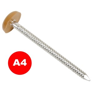 FASCIA NAILS PLASTIC HEAD LIGHT OAK (100/BOX) 50mm