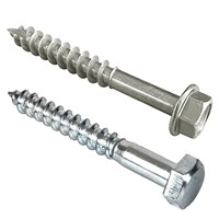 Coach Screws
