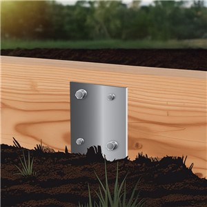WDBACG_INSITU2